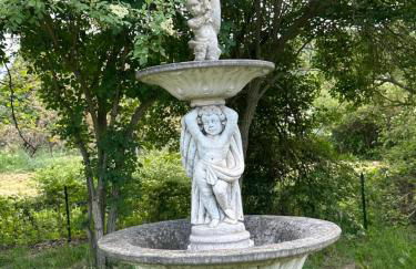 Clos Augusta 1 - Foto 7