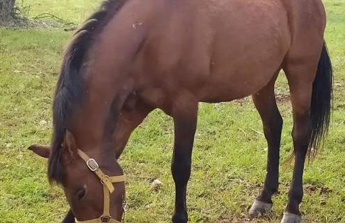 LES LLÚDRIGUES Casa Loft con aire ac y terraza - Foto 59