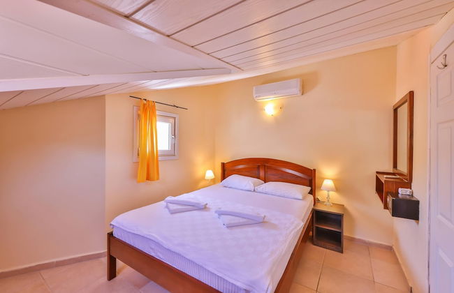 Kale Apart - Foto 13