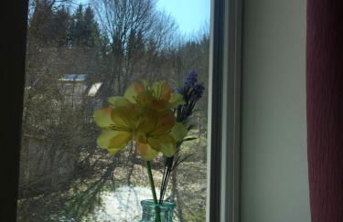 Harz House - Foto 16