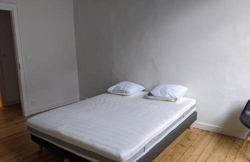 Logis ville, 24h Mans, zoo, prytanée, golfe, 6 pers - Photo 11