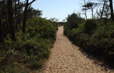 Maison landaise moderne avec piscine chauffée et spa - Foto 26