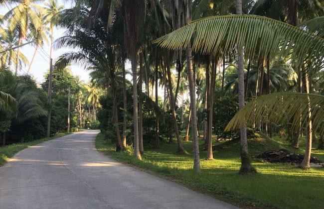 155 SalaCoco - Foto 40