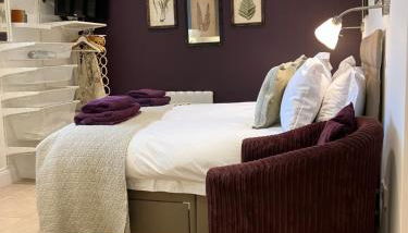 The Burrow - Photo 1