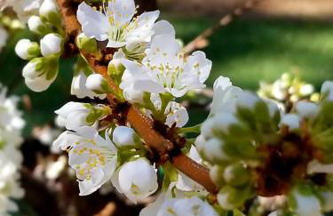 Sacred Mtn River Suites - Foto 32