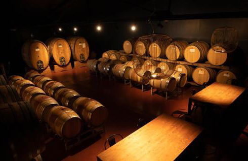 Tenuta San Jacopo - Agriturismo - Foto 35