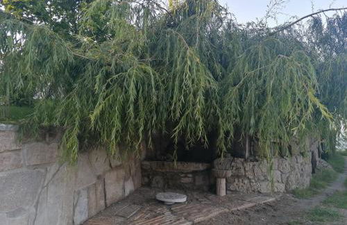 Quinta da Mal-disposta, cabin lodge Countryhouse - Foto 43