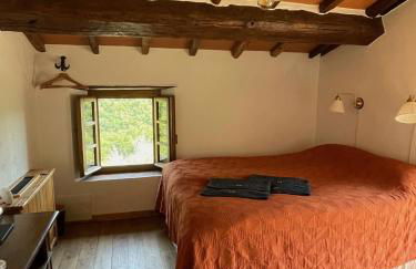 Leon Morto - Foto 27