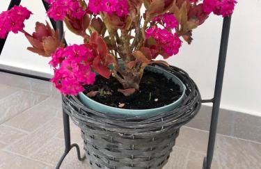 Armonia Apartment - Foto 21