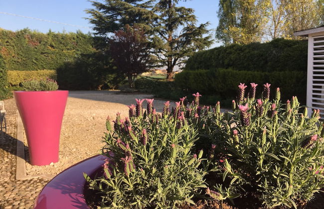 Agriturismo Corte Rocca - Foto 41