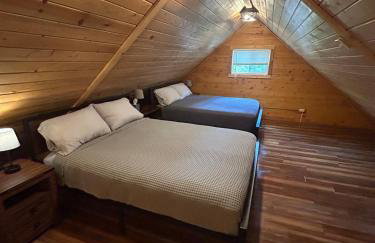 Amphitheater Mountain Cabin - Foto 21