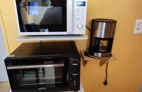 Résidence L'Alexandra 2 étoiles - Foto 77