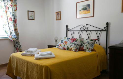 Tapada da Beirã - Foto 18