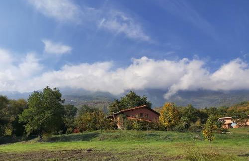 The Strawhouse under the mountain - Foto 37