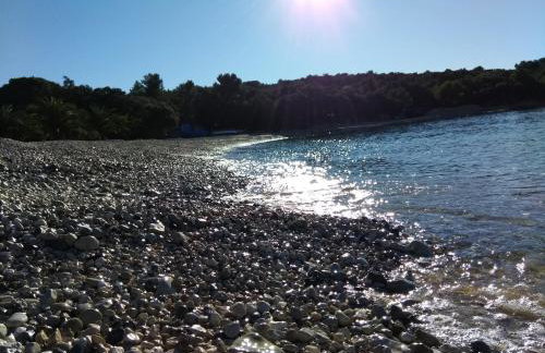 Apartmani Tognon - Foto 70