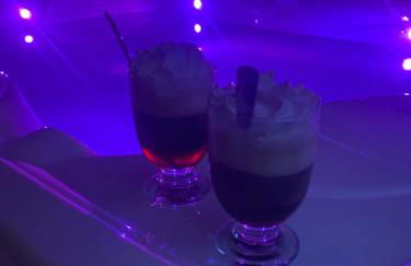 La Mylandie - Foto 29