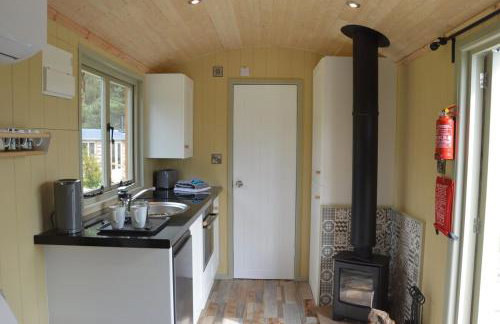 Shepherds Hut, The Sett, No Hot tub, 1 Pet - Foto 4