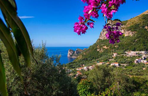 Christa Guest House - Foto 20