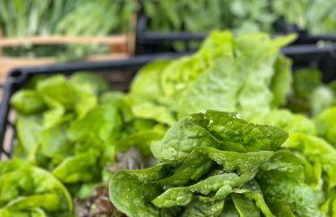 Casale Kintsugi - Foto 55