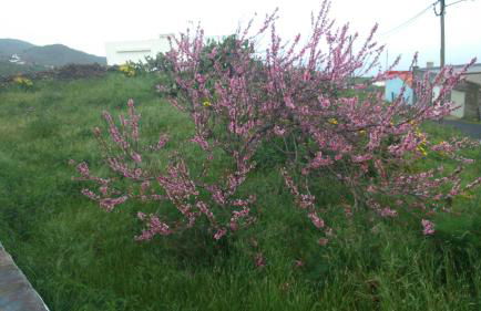 Casa Abuelo Buenaventura - Foto 21