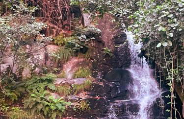 Nascente, place in nature next to a waterfall - Foto 31