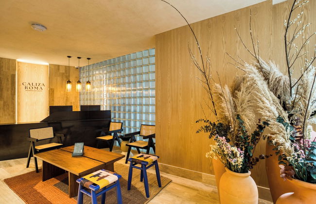 Caliza Roma Residences by Tasman - Foto 2