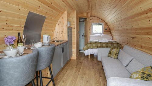 Dysynni Pod - Foto 3