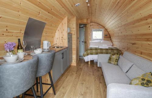 Dysynni Pod - Foto 3