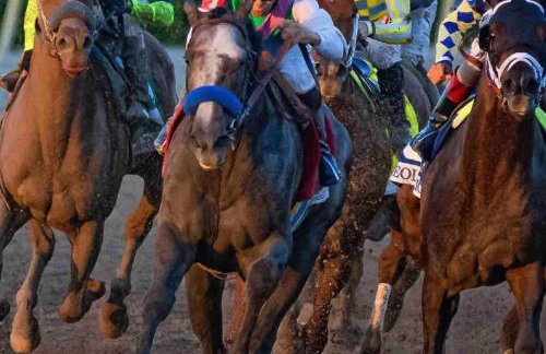 Coastal Paradise Retreat - Mini Golf, 4 Bedrooms, Game Room, Htd Pool, BBQ Fire Pit - Foto 32