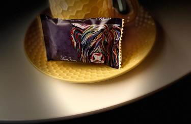 Loch View Luxury Pod - Foto 26