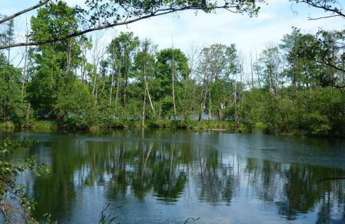 Seeblick Kemnitz - Photo 16