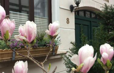 Altstadt-Refugium - Foto 11