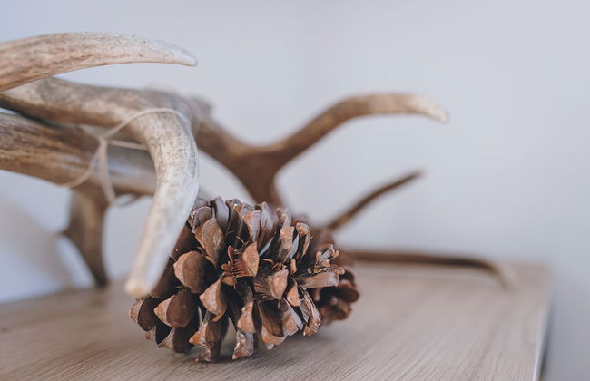 Panorama Chalet Schmittendrin by we rent - Foto 28