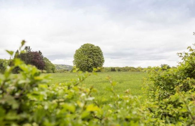 Mansion in Spa Liege With Private Garden - Photo 39