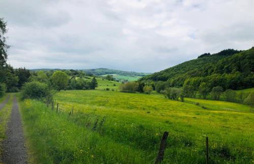 Rennscheune - Himmlisch in die Grüne Hölle - Foto 19