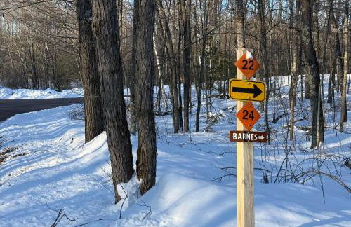 Pet-Friendly Lakefront Cabin by arc Vacation Rentals - Foto 30