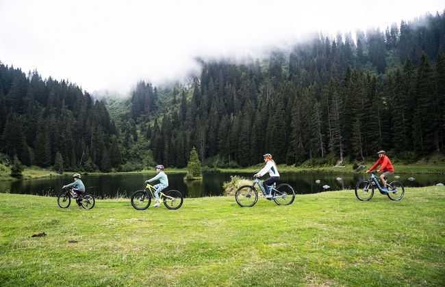 Châtel Réservation - Foto 48