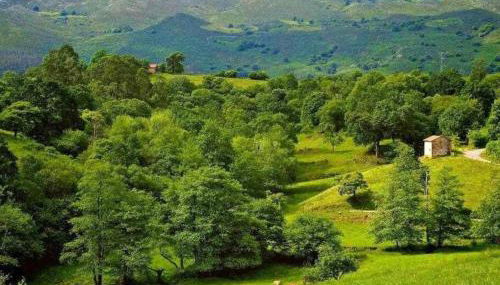 La Casona de Obdulia - Foto 2