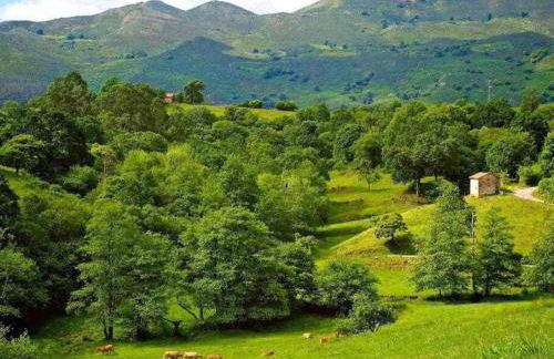 La Casona de Obdulia - Foto 2