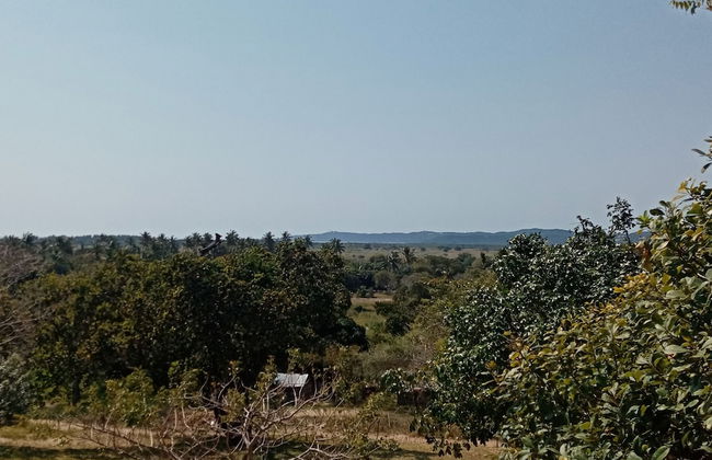 Restaurante Calor Tropical - Photo 71