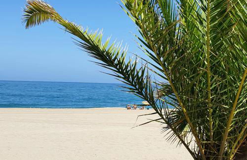 Appartement Super Terrasse Vue Panoramique Mer - Foto 18