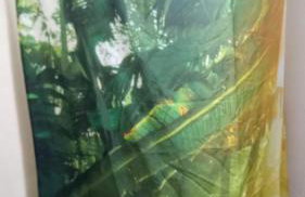 Chalé Maison Blanche - Foto 19