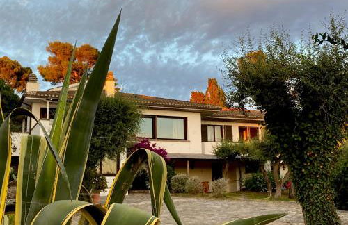 Terrazza sull Argentario - Foto 6