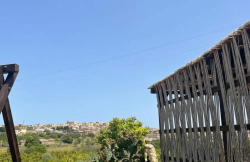 Il Primo Fiore - Foto 39