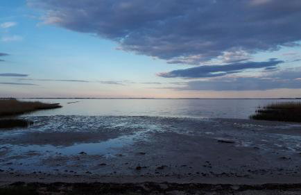 Ferienhaus am Nationalpark, Klausdorf, ca 250m bis zur Badestelle - Foto 29