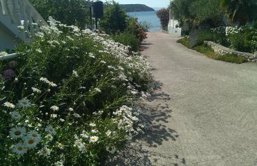 Apartments Kampor Damira - Foto 27