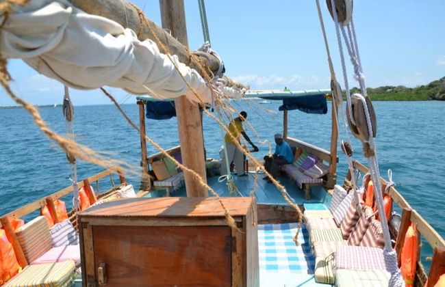 Avistamiento de delfines en el Parque Nacional Marino Kisite - Foto 8