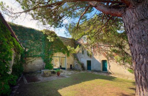 Tenuta Sant'Andrea - Foto 10