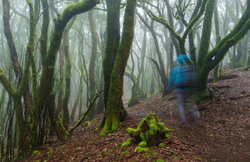 Casa La Cañada - Foto 20