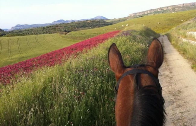 Ridocco Agriturismo - Photo 32